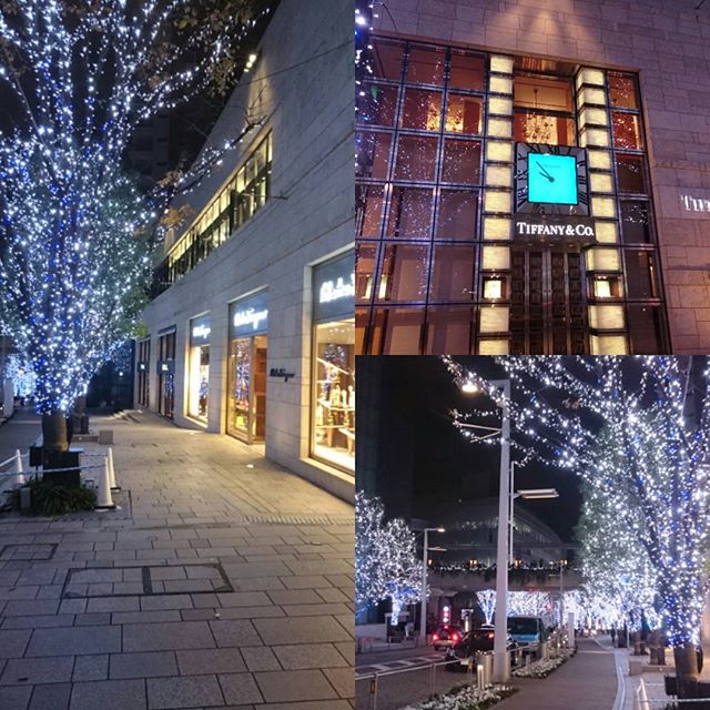 まだまだ散歩中～ - from Instagram