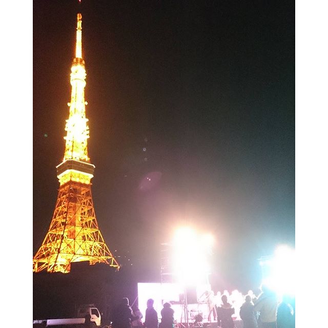 A Happy New Year - from Instagram