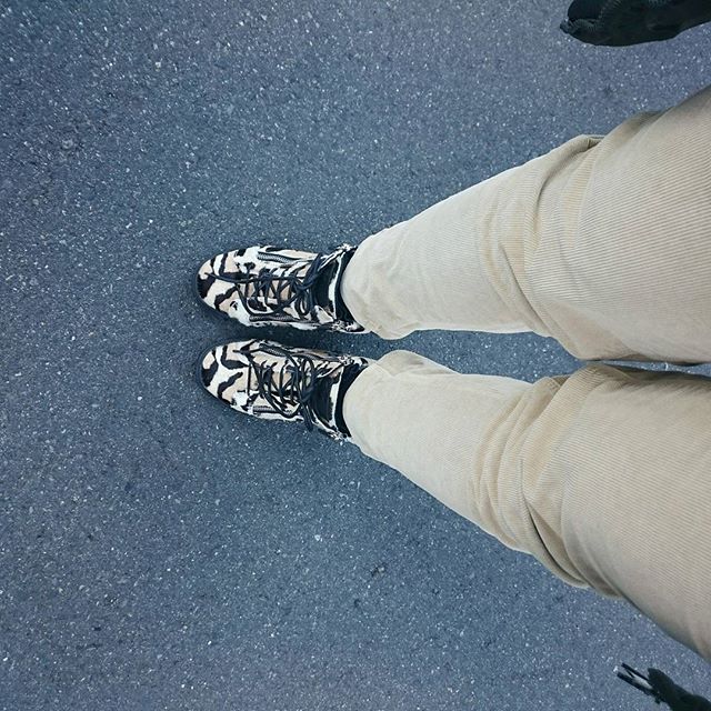 お早うございます。 - from Instagram