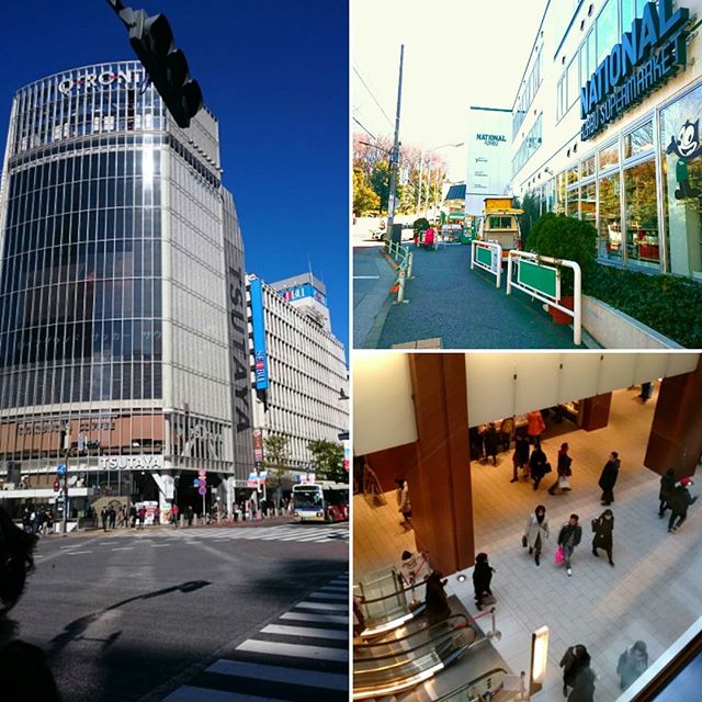 こんにちは！今日は朝イチで#national  - from Instagram