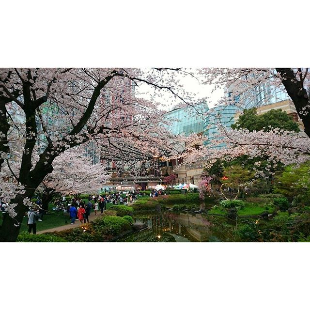 毛利庭園 - from Instagram