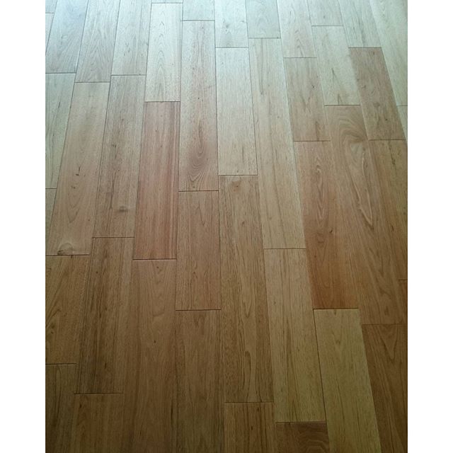 シベリアンウオールナット - from Instagram