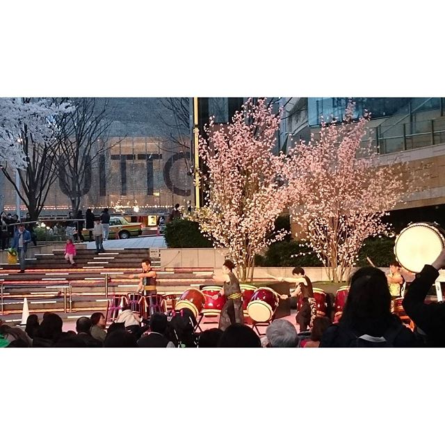 ヒルズも桜まつり - from Instagram