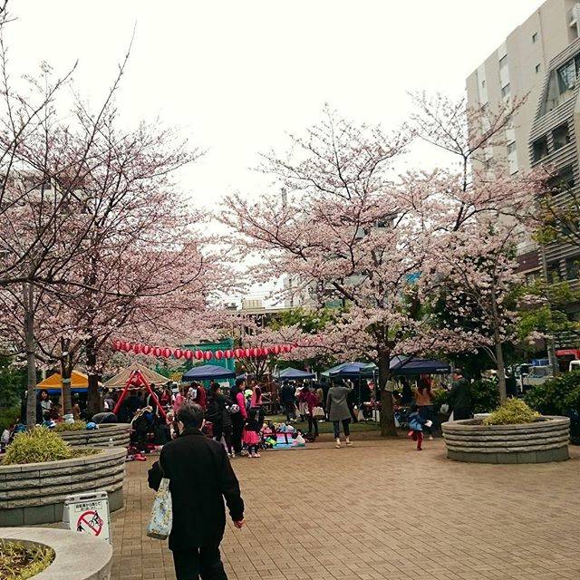 今日はあちこちで - from Instagram