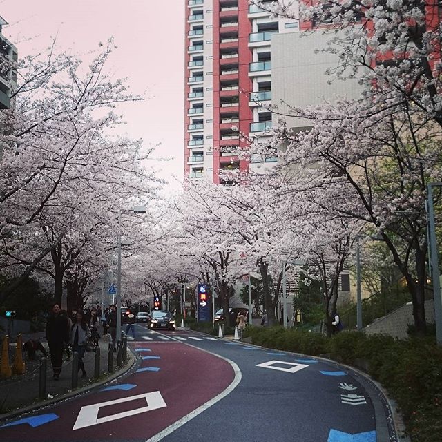 六本木ヒルズの - from Instagram