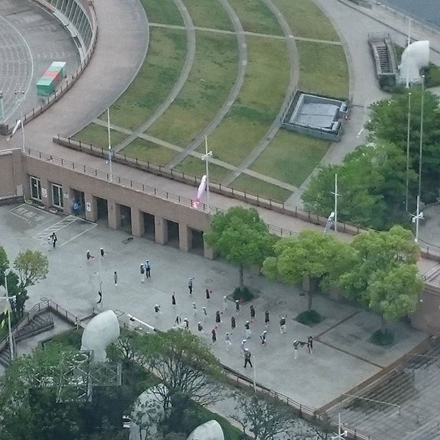 旗振り？ - from Instagram