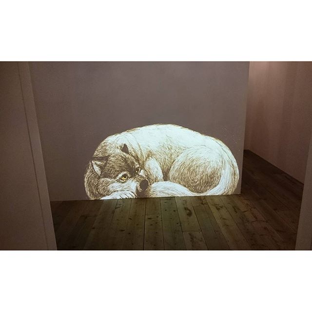 さて、ここはどこでしょう？ - from Instagram
