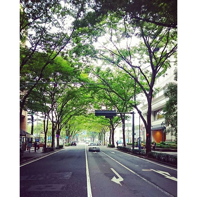 緑もあり、 - from Instagram
