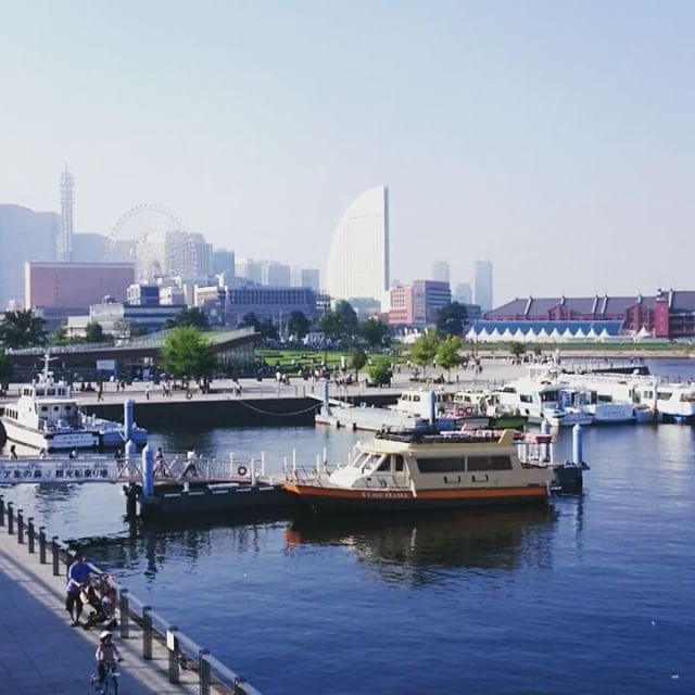夜散歩が多いのでたまには昼間の大桟橋。 - from Instagram