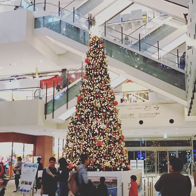クリスマスツリー - from Instagram