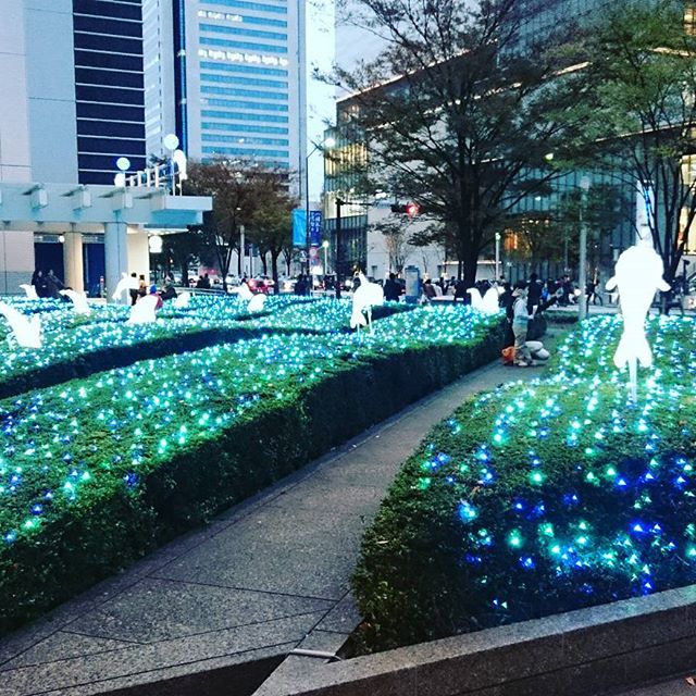 イルカ - from Instagram