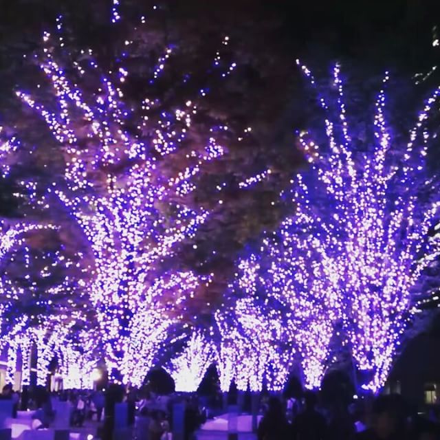 【動画】#MARKIS 前がこんな感じになるんですね