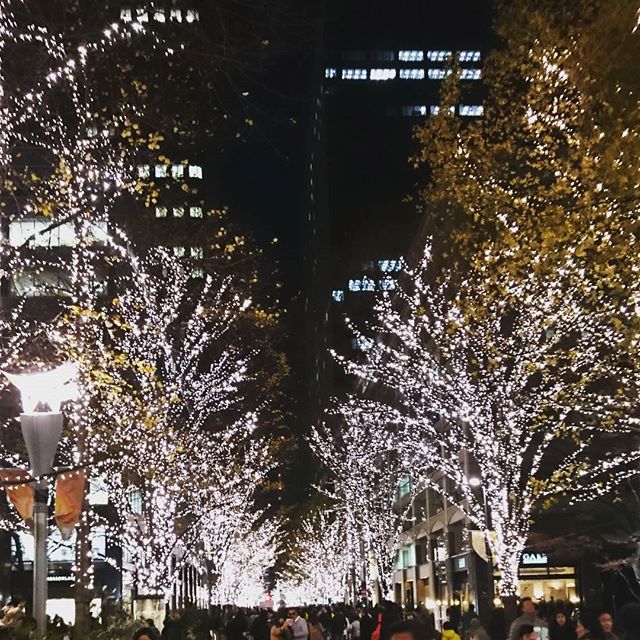 丸の内仲通り - from Instagram