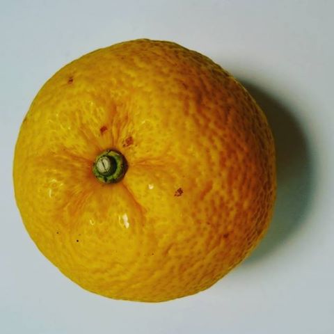 #冬至 - from Instagram