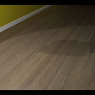 【動画】行幸ロール - from Instagram