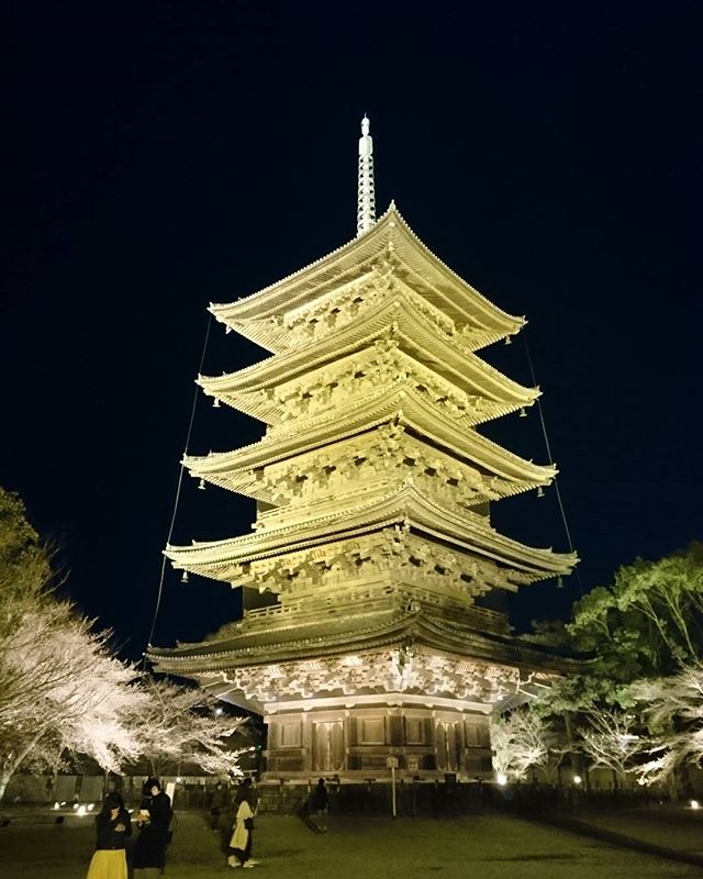 #東寺 #ライトアップ #京都 実は京都に来ています。#lifeofkaren #casualandluxe#yokohamalifestyle #lifeinyokohama#暮らしを楽しむ - from Instagram
