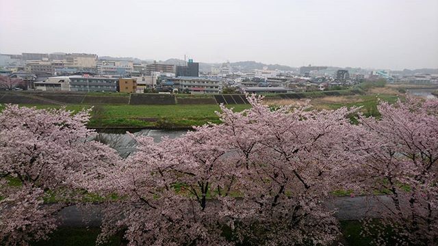 今日は旦那様の実家へ - from Instagram