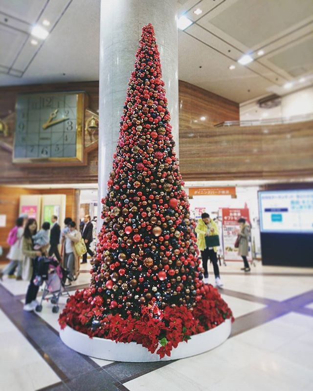 朝散歩からの#SOGOもうクリスマスツリーが…。ベイスターズ関連のセールも#lifeofkaren #casualandluxe #yokohamalifestyle#lifeinyokohama#暮らしをたのしむ - from Instagram