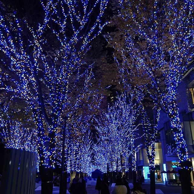 横浜も#illumination がキレイですね。#lifeofkaren #casualandluxe #そうだ暮らしを楽しもう #yokohamalifestyle#lifeinyokohama#暮らしを楽しむ - from Instagram