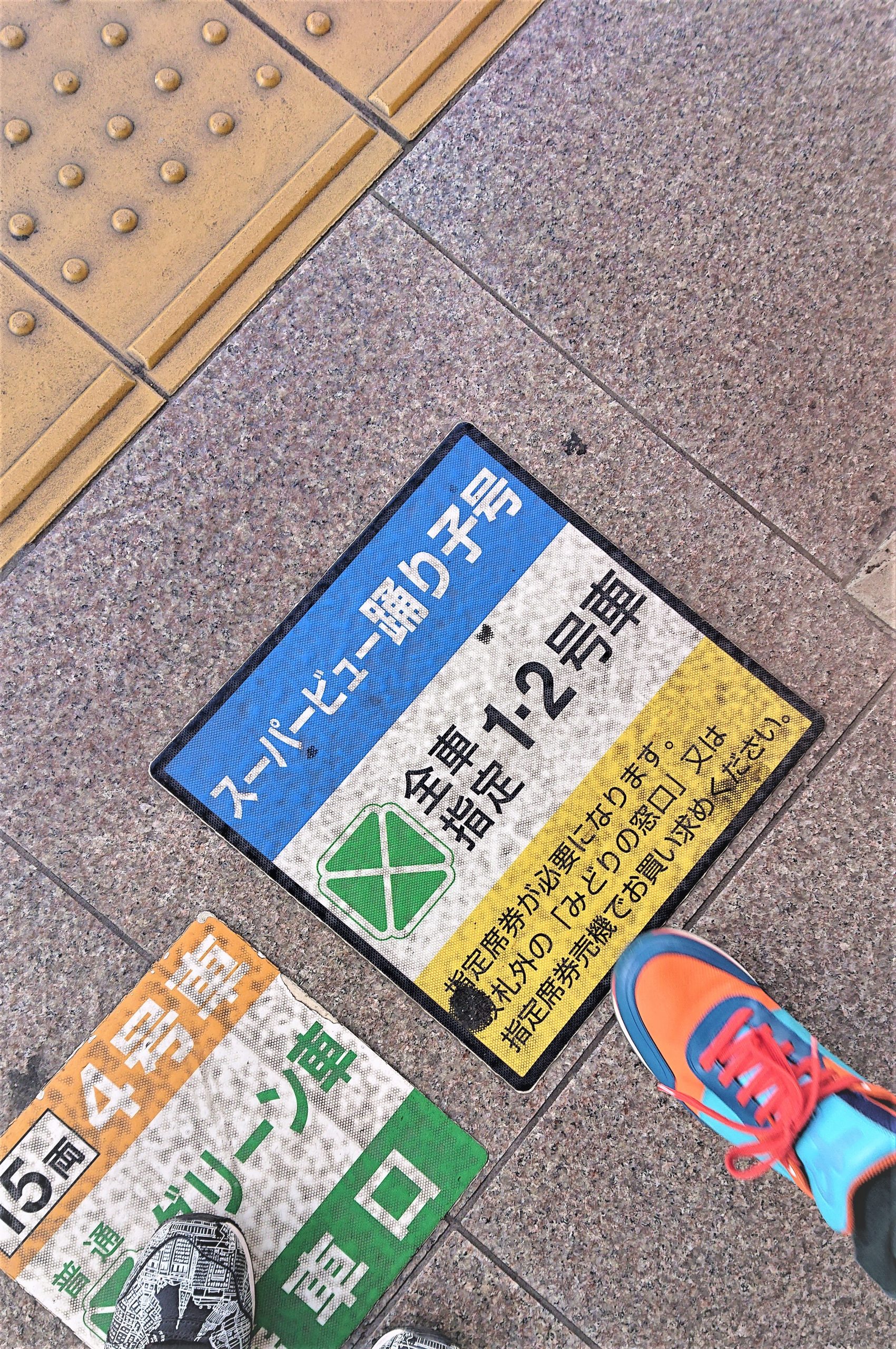 Featured image of post 人生で最初で最後のスーパービュー踊り子